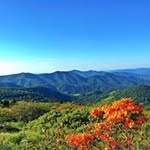 Sandra Baucom Miller - @ssnshine1 - Instagram