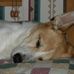 Sandra Baughman - Facebook
