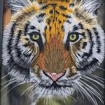 Sandra Baughman - @paperfiligreesb - Instagram