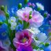 Sandra Barus - Facebook
