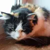 Sandra Lerchbaumer - @sandralerchbaumer - TikTok