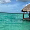 Sandra Bazan - @s_bazan - TikTok