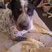 Sandra Beale - Facebook