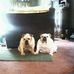 Sandra Beals - Facebook