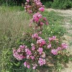 Sandra Beals - @sandra.beals.1948 - Instagram