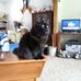 Sandy Beals - Facebook