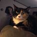 Sandy Virta-Beals - Facebook
