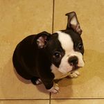 Sandra Beard - @sandybeard44 - Instagram