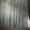 Sandra Bearden - @sandrabearden396 - TikTok