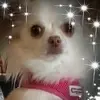 Sandra - @sandrabeaumont430 - TikTok