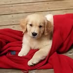 Sandra Scrymgeour-Beaumont - @quasarsmom - Instagram