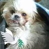 sandrabeaumont859 - @sandrabeaumont859 - TikTok