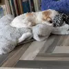 Sandra Beckmann - @sandrabeckmann1gmx.de - TikTok