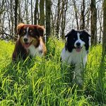 Sandra Beckmann - @sandra_beckmann_7161 - Instagram