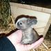 Sandra Beckmann - Facebook