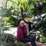 Sandra Beecher - @beecher2 - Instagram