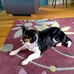 Sandra Beers - Facebook