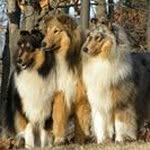 Sandra Beers - @sandrabeers73 - Instagram