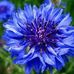 Sandra Beeson - Facebook
