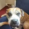 Sandra Beeson - @sandra.beeson - TikTok