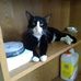 Sandra Beeson - Facebook