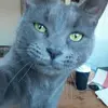 Sandra Bégin436 - @userme1070mtl - TikTok