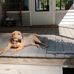 Sandra Fuster Begin - Facebook