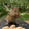 Sandra Behm - @sandrabehm82 - TikTok
