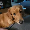Sandra Behm - @sandra.behm - TikTok