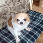 Sandra Behnke - @behnke2419 - Instagram