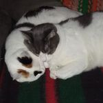 Sandra Belden - @sandra.belden.543 - Instagram
