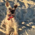 Sandra - @sandra_bellman_05 - Instagram