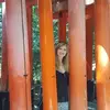 sandrabellmann683 - @sandrabellmann683 - TikTok