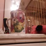 Sandra Bellon - @bellon.sandra - Instagram