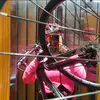 Sandra - @sandra.abellon - TikTok