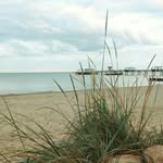 Sandra Benner - @sanben2412 - Instagram