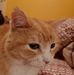 Bergmann Sandra - Facebook