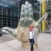 Sandra Bergmann - Facebook