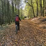Sandra Bergmann - @bergmann9478 - Instagram