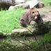 Sandra Bergmann - Facebook