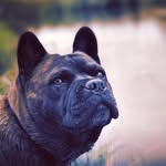 Sandra Berndt - @mollymonster2011 - Instagram