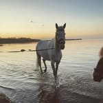 Sandra Berndt - @sani.louis.lenny - Instagram
