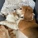 Sandra Bernhard - Facebook