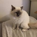 Sandra Och Bernhard - @bernharddd_ - Instagram