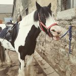 Sandra Berning - @sandra.sun.80 - Instagram