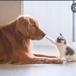 Sandra Bernstein - @vreniic - Instagram