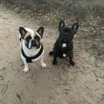 Sandra Bernstein - @sandra.bernstein78 - Instagram