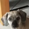 Sandra Bertram - @sandra.bertram07 - TikTok