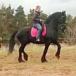 Sandra Bertram - @leroy29061995 - Instagram