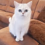 Sandra Bertram - @puscheljosy - Instagram